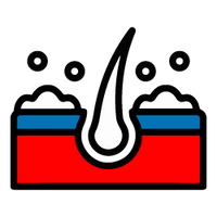 Dandruff reversal program