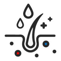 Hair thinning reversal program